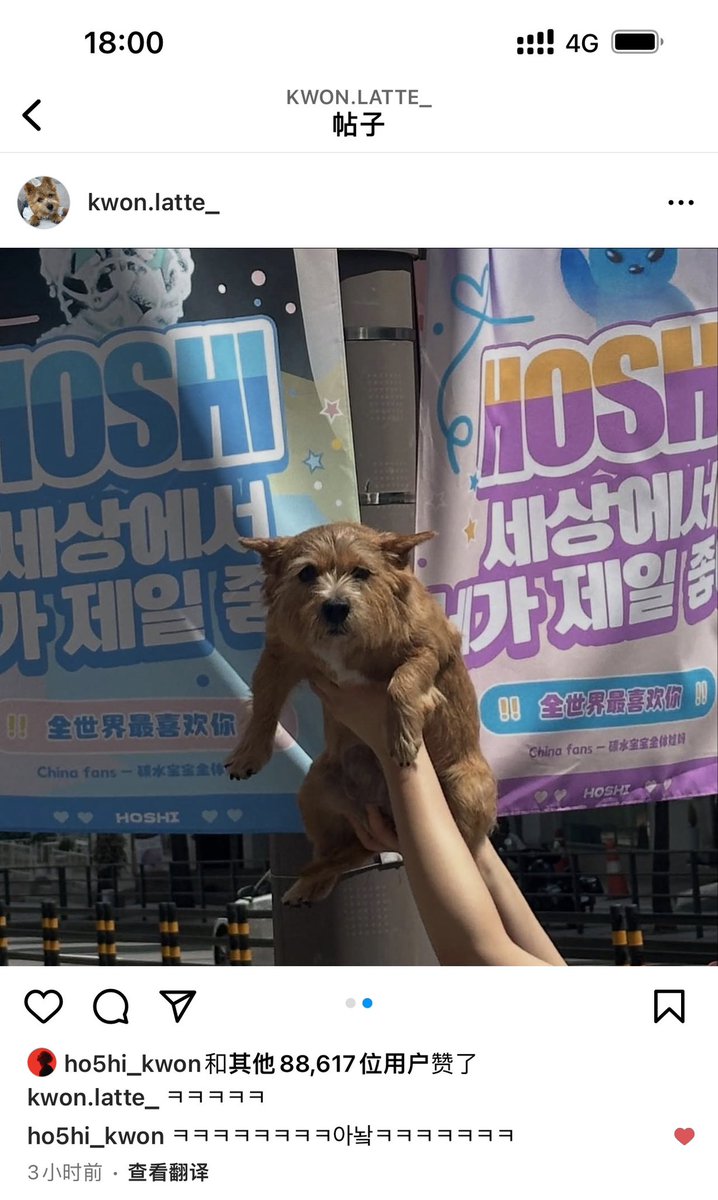 HOSHI tigerbread 🐯 tweet media