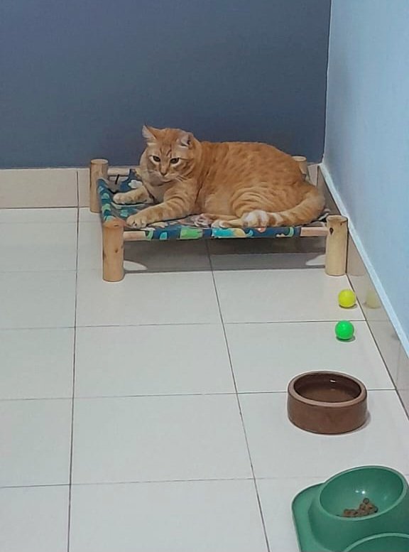 Aku peratikan je korang gaduh-gaduh kat X  ni...