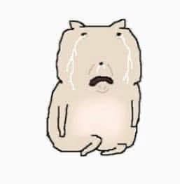 📺ellen z tweet media