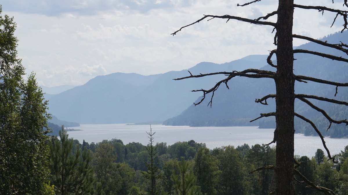 WithRtx's tweet photo. here are some photos i've made 2 years ago on my trip to Altai Mountains
shot on Sony A5000 with kit lens SELP1650(+camera sensor was dirty back then, i couldn't clear it, so yeah hehe)
#altai_mountains #teletskoye_lake #photography https://t.co/BUZfcUjEV9