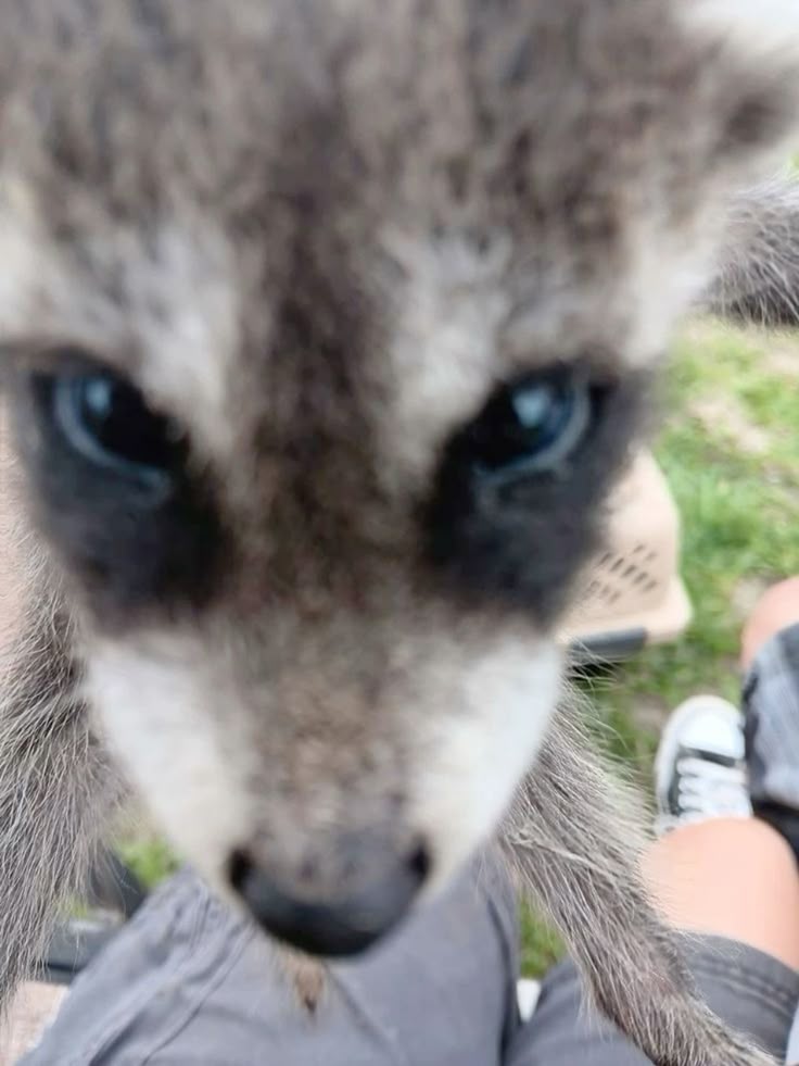 First 4 pics when you open pinterest are your vibe

so.....