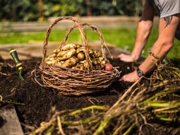 Greenwich_Hosp's tweet image. 🌱 Proud to support recovery through nature.
Greenwich Hospital has awarded £159,346 to @HighGround_UK at DMRC to deliver Horticultural Occupational Therapy & land-based programmes for Royal Navy & Royal Marines personnel.
#Veterans #RecoveryThroughNature #RoyalNavy