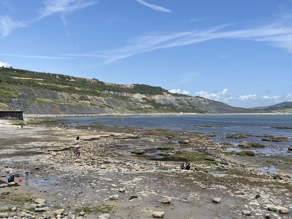 Dr Steven Allain (@stevoallain) on Twitter photo I had a fantastic weekend in #LymeRegis for the <a href="/FossilFestival/">LymeRegisFossilFest</a>! I learnt more about British Dinosaurs, #MaryAnning, and went #Fossil hunting with some good friends! <a href="/TetZoo/">Darren Naish</a> <a href="/Dean_R_Lomax/">Dr Dean Lomax</a> I had a fantastic weekend in #LymeRegis for the <a href="/FossilFestival/">LymeRegisFossilFest</a>! I learnt more about British Dinosaurs, #MaryAnning, and went #Fossil hunting with some good friends! <a href="/TetZoo/">Darren Naish</a> <a href="/Dean_R_Lomax/">Dr Dean Lomax</a>
