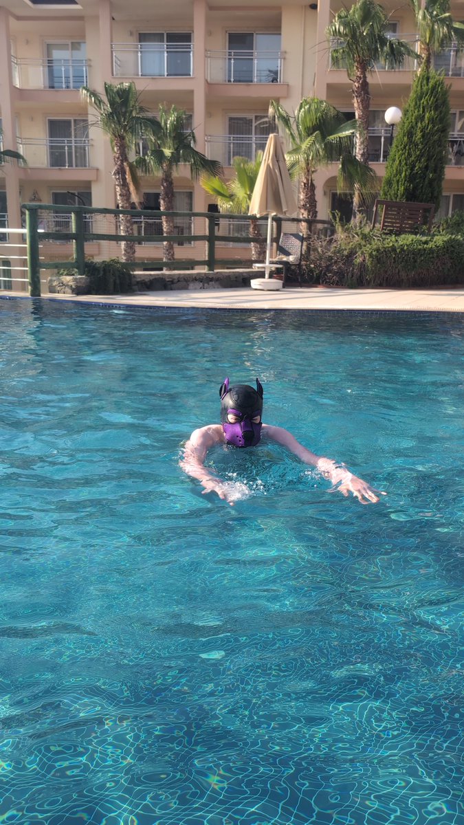 They: What's your swimming style??
Me: umm... Doggy Style 💜