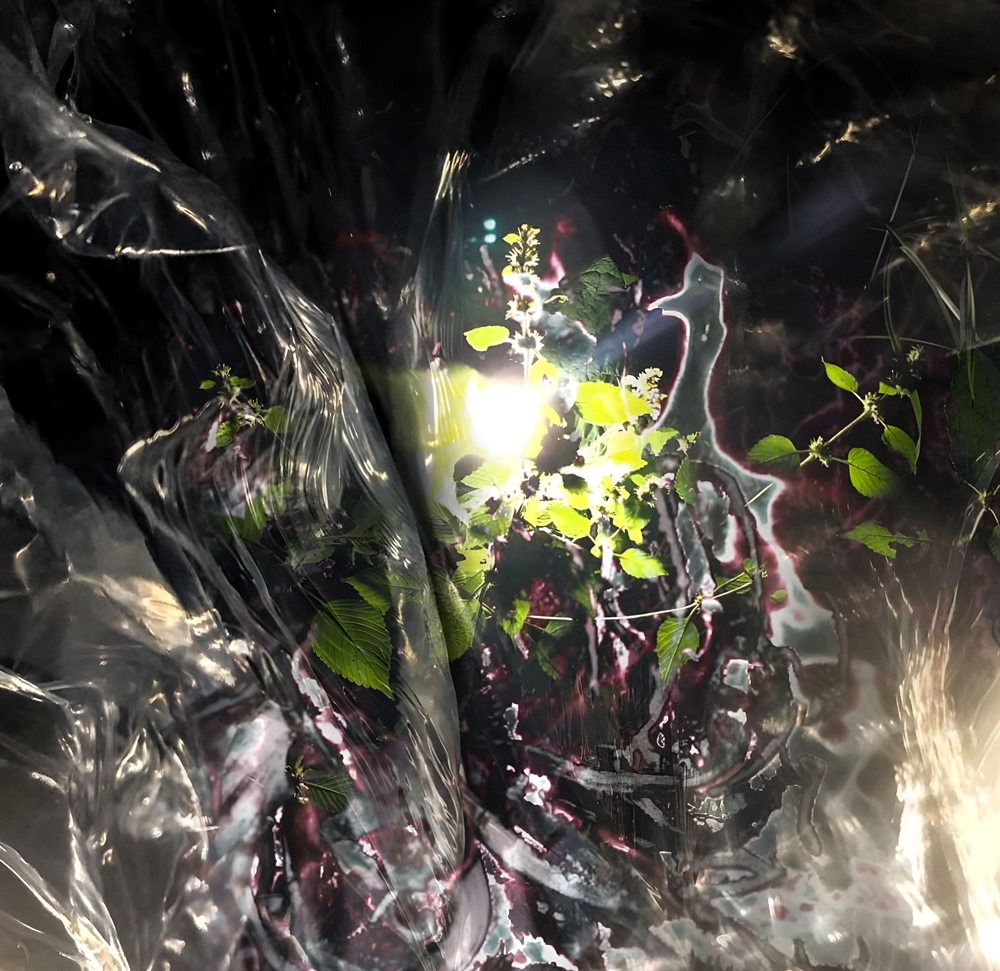 【news】花びらように時に鋭く吹き抜ける｜W.ANNA.WがEP『Petals of Nehan』を発表

xato、Quit Life、Ytem、Kenji Araki参加。台湾のレーベル〈Over My Body〉より。
avyss-magazine.com/2025/06/17/612…