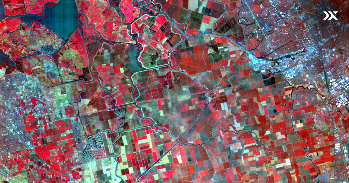 PixxelSpace's tweet image. Over the last few months, the Fireflies have been up to some serious spectral magic. Here’s Stockton, California, captured in full flair from orbit! ✨🛰️
From vegetation and water to urban areas and more, Firefly’s 135+ spectral bands at 5-meter resolution reveal details far…