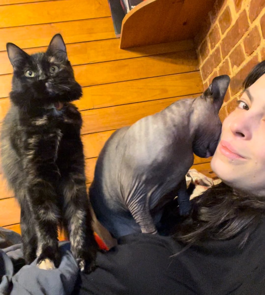 Кассіопея перестала їсти сухий корм, дивиться на мене з оскорбльонним личком і просить паштет 

Пані Кася, мені для тебе конєшно нічого не жаль, але це великий фінансовий удар по мені…

(Вона така: «Да, і шо»)