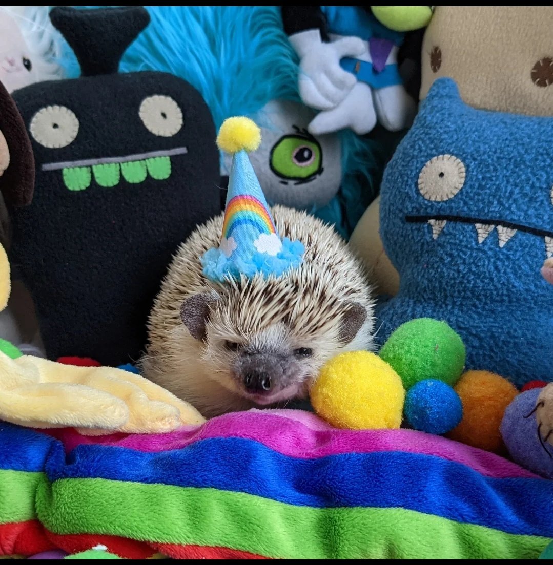 When you're so deep in another ecosystem, the don't know you're a spy from monad