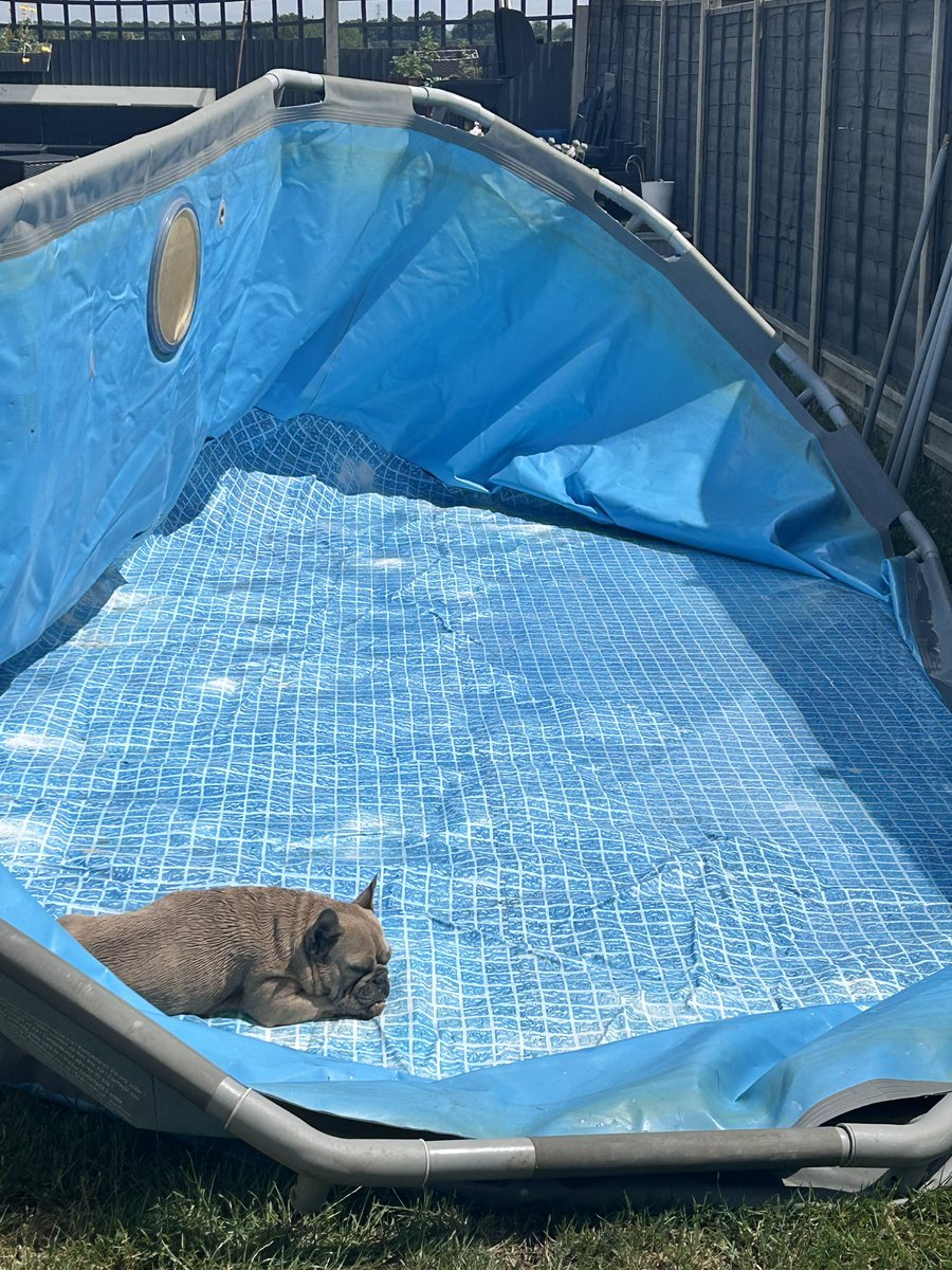 When it’s only the start of the #heatwave 😝 what a nice cool place to have a little shut eye I’m #winningtoday it will be full up
Again tomorrow! #TuesdayBlessings #itswarm #sunsout ☀️ 💦