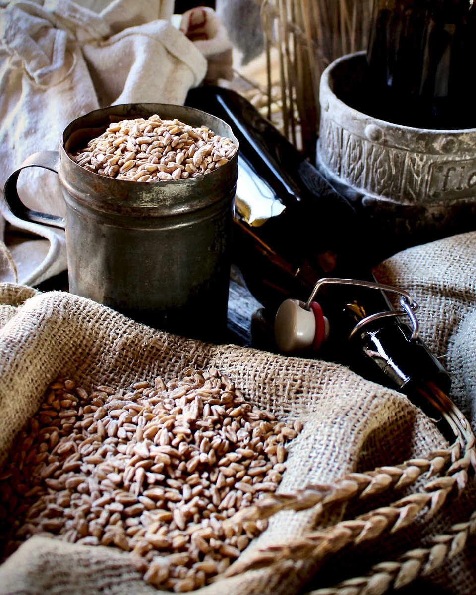 Spelttimallas tuo olueen ainutlaatuisen yhdistelmän pehmeää täyteläisyyttä, hienostunutta pähkinäisyyttä ja hieman mausteista, viljamaista syvyyttä. Speltti, yksi vanhimmista viljelykasveista, tarjoaa mallasmuodossaan rustiikkista luonnetta ja historiallista syvyyttä jokaiseen