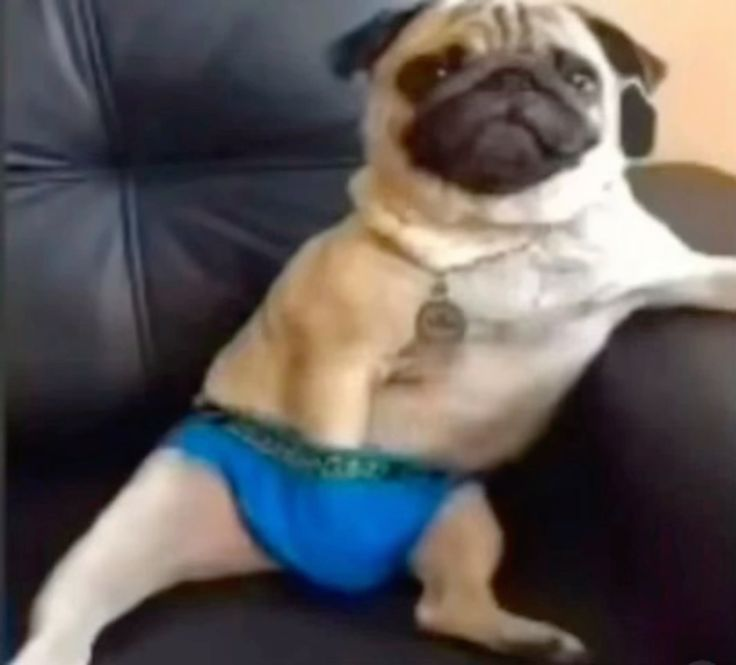 twitch.tv/realzyyy_ live