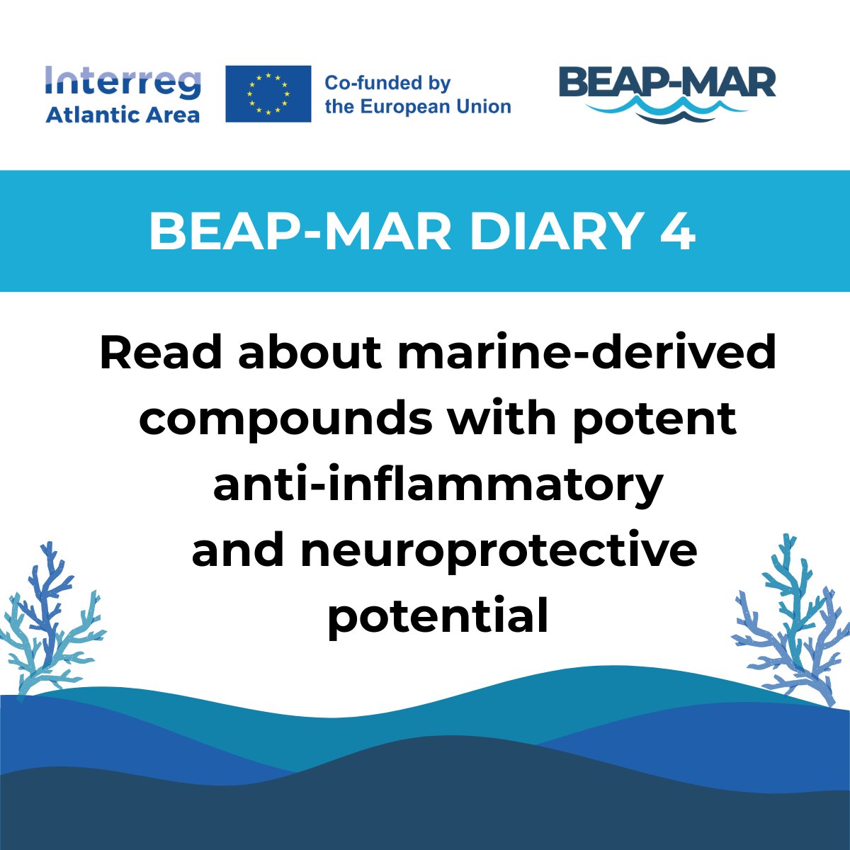 🌊Have you read the BEAP-MAR diaries?

We have a series of diaries covering everything from dives in Galway, to marine compounds, microalgae and combating inflammation and diseases.

🔖Read them today!
beap-mar.eu/news-events/