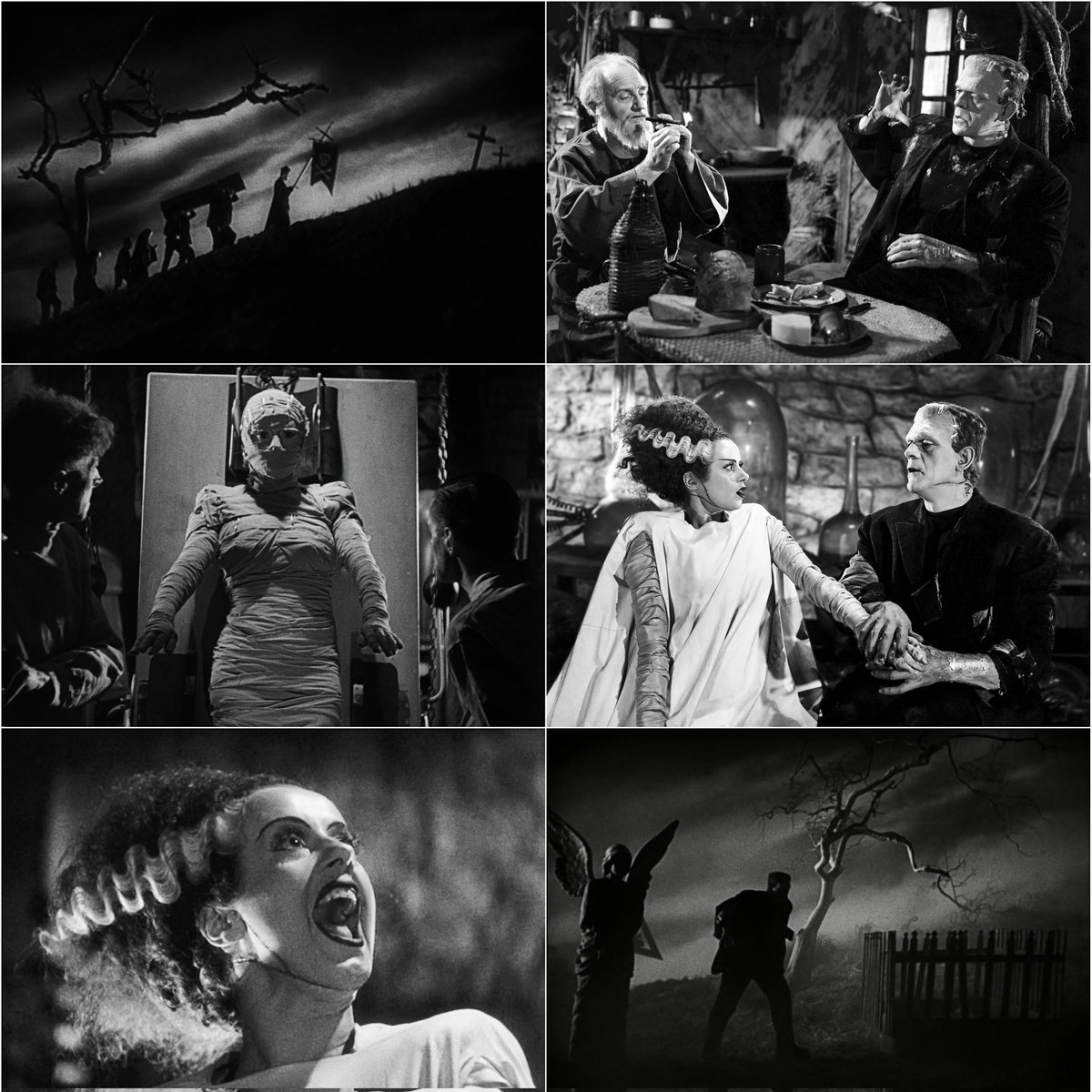 La novia de Frankenstein (1935, James Whale)

Obra maestra 🎥❤️