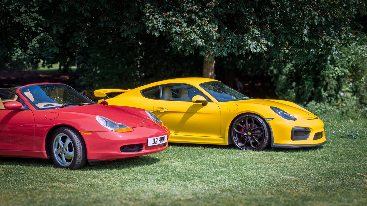 #WeekYforYellow #thephotohour #NikonD4