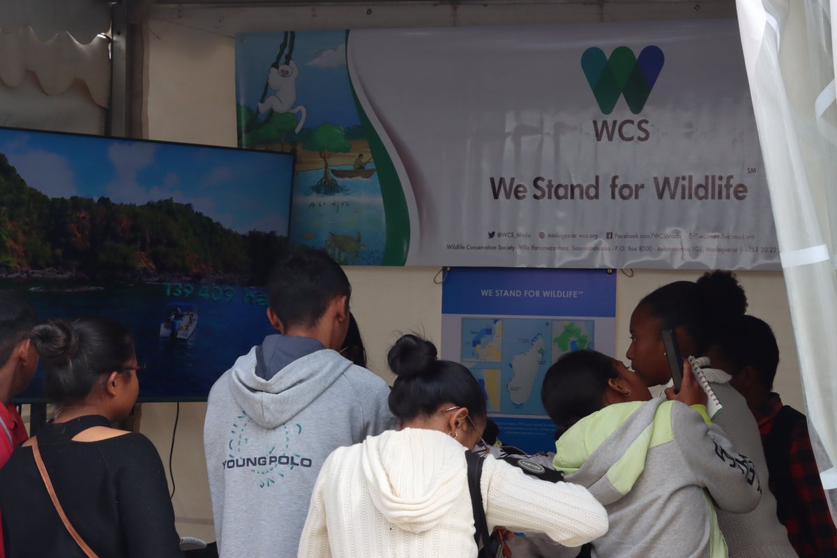 WCS_Mada's tweet image. WCS Madagascar joined the 2025 Biodiversity Fair in Mahamasina - Antananarivo to share its actions for nature, 2 days of rich exchanges for a sustainable future!
#BiodiversityFair2025 #WeStandforWildlife