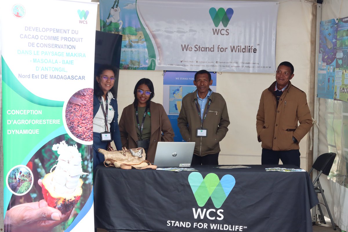 WCS_Mada's tweet image. WCS Madagascar joined the 2025 Biodiversity Fair in Mahamasina - Antananarivo to share its actions for nature, 2 days of rich exchanges for a sustainable future!
#BiodiversityFair2025 #WeStandforWildlife