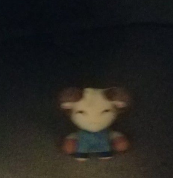 For those who own rammie plushies...

Sleep with two eyes open-