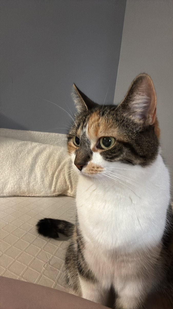 Blossum has been exceptionally baby lately