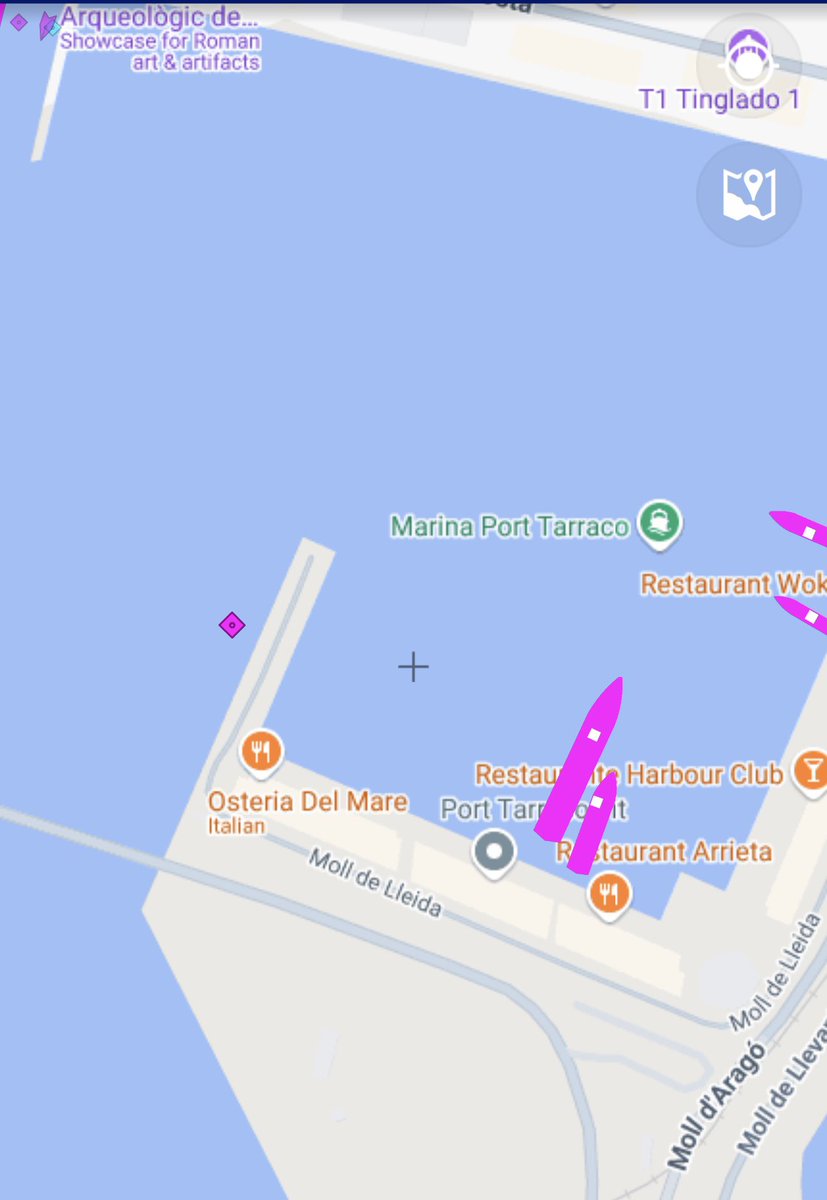 Prof Alice Roberts💙 tweet media