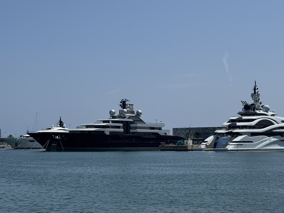 Prof Alice Roberts💙 tweet media