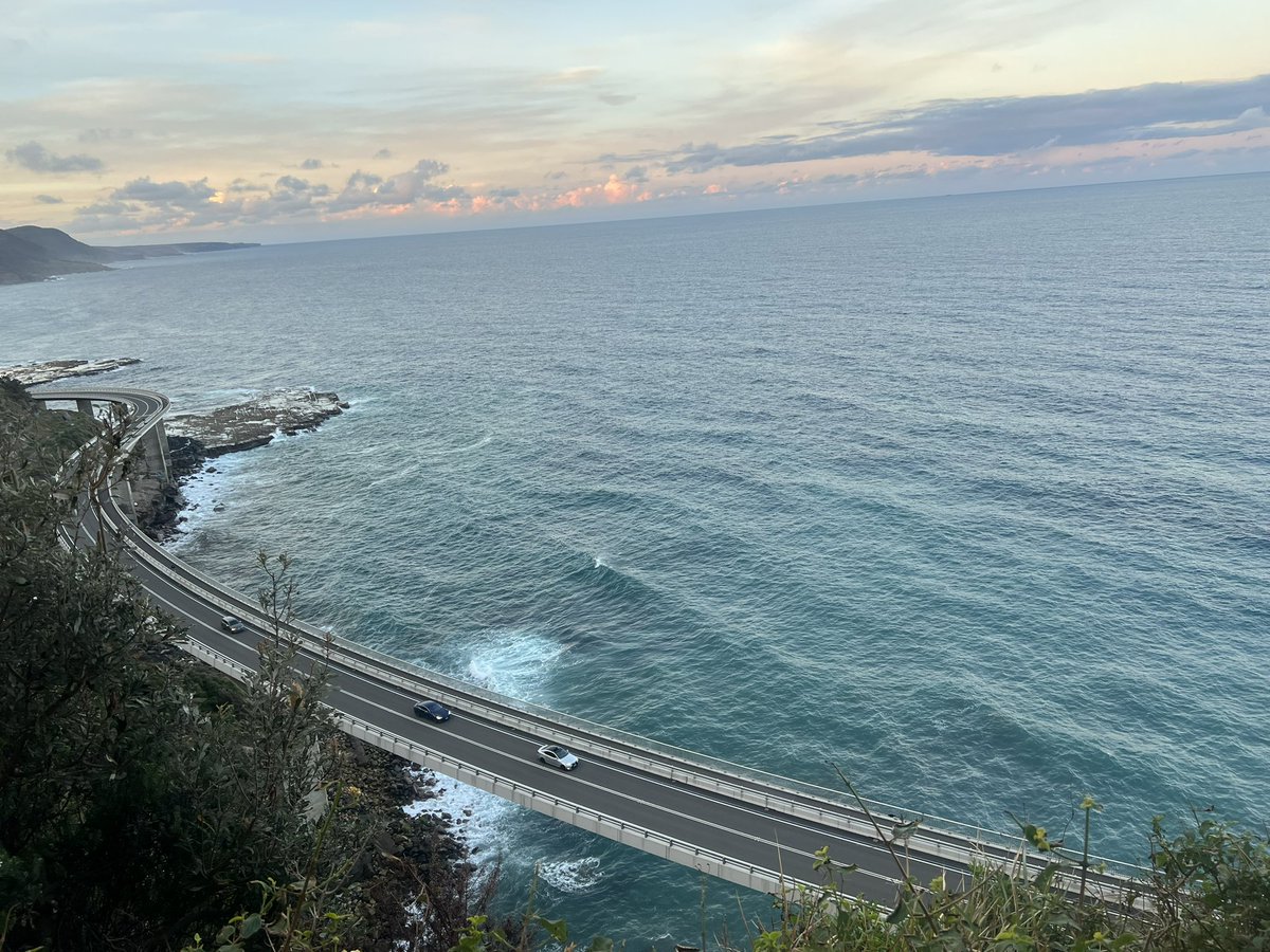 bloomlikesun's tweet photo. Today I walked to the top for a peaceful view of the Sea Cliff Bridge — calm, quiet, and beautiful. https://t.co/APgvUOUnMD