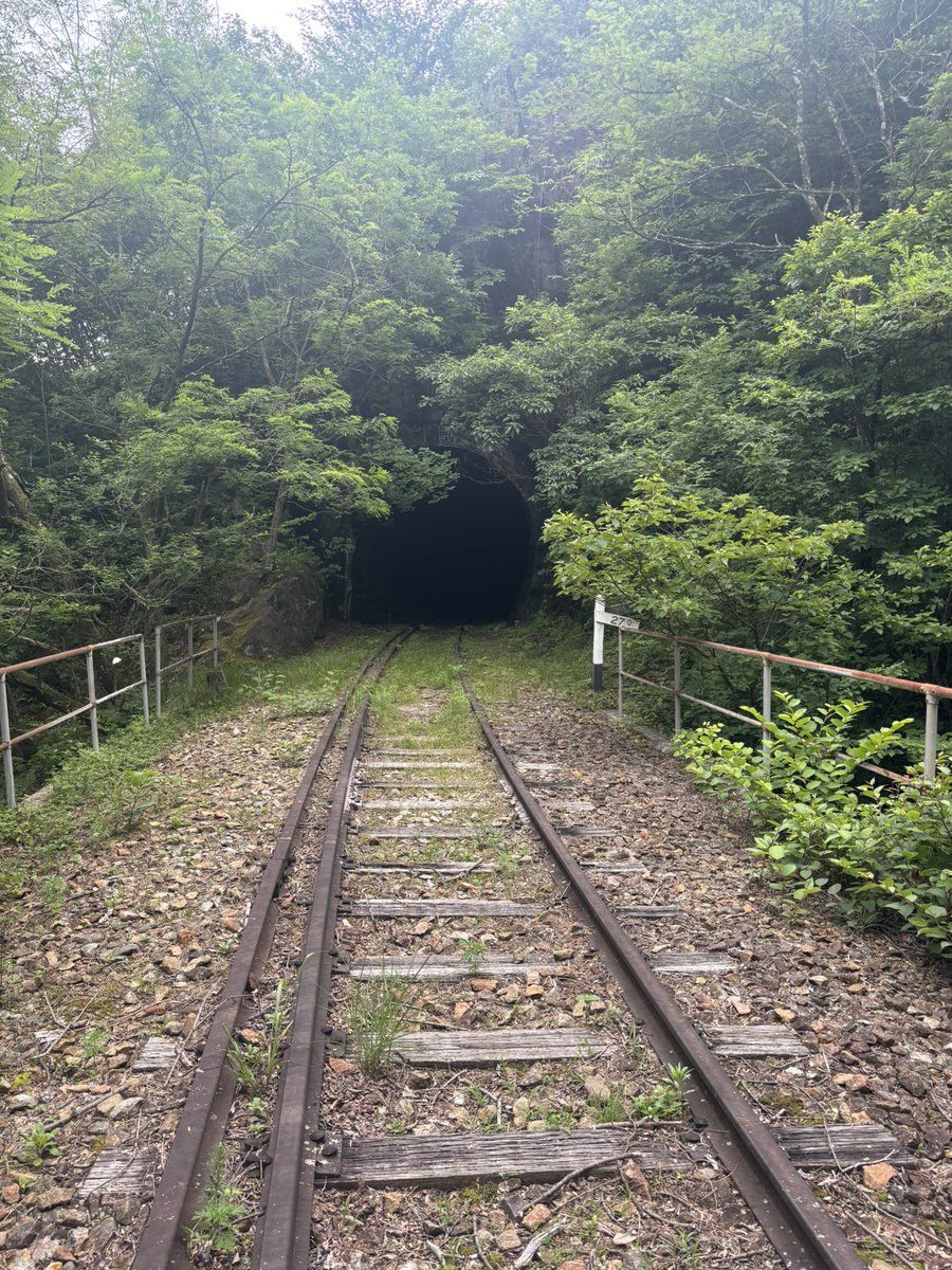 jankarinyan's tweet photo. 栃木県民の日🎉
二日かけてのジオ活は90Fのち87FTFを取ることが出来���した💡全てD無しの結果で素晴らしい👏
今���の優勝場所は幻の駅🚉
トンネル内真っ黒でライト必須🔦
一人で行くには怖い場所ですのでチームで行くことをお勧めします
コウモリと鹿に遭遇しました https://t.co/ujHxhe0WUi