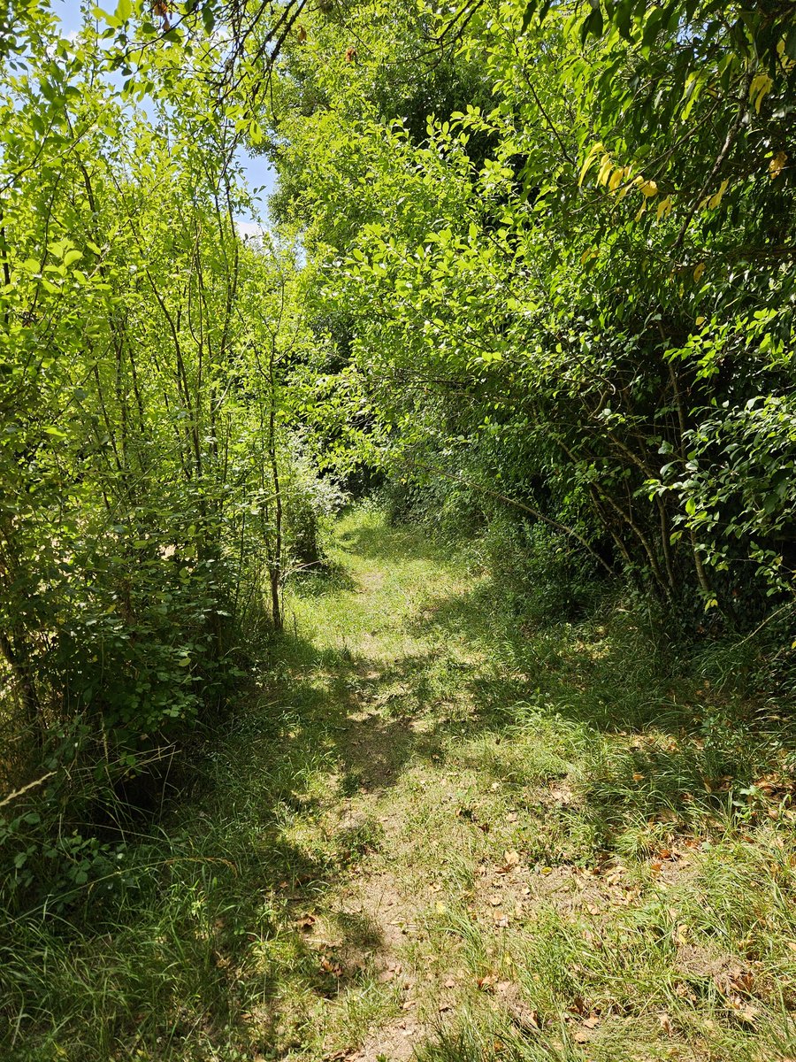 Petite promenade avant de retourner a mes révisions pour le concours de Bibas.