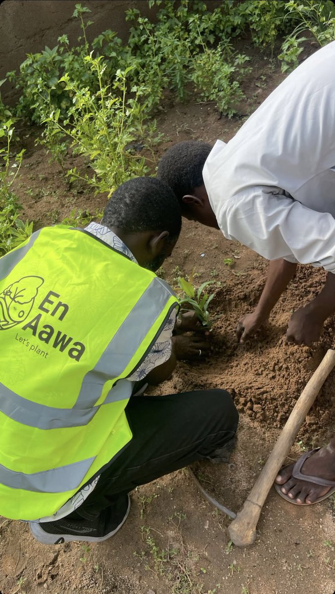 EnaawaFdn's tweet image. Today we planted hope. 🌱
In honor of #WorldDesertificationDay, our team was on the ground restoring degraded land, we stepped up, hands in the soil, hearts in the mission. Drought and land degradation affect us all and restoring land is a shared responsibility.
#ActOnDrought