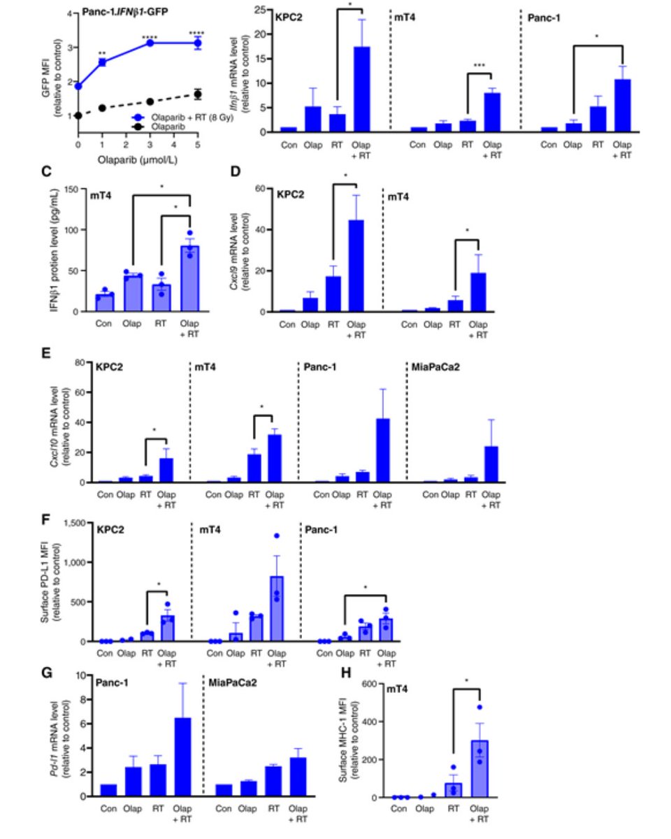 Olaparib and Radiotherapy Induce Type I Interferon– and CD8+ T Cell–Dependent Sensitization to Immunotherapy in Pancreatic Cancer: brnw.ch/21wTsSt
