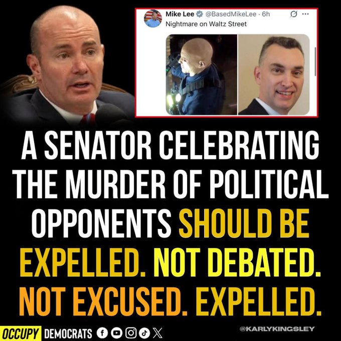 This nut job is why MAGAts are murdering Democrats.