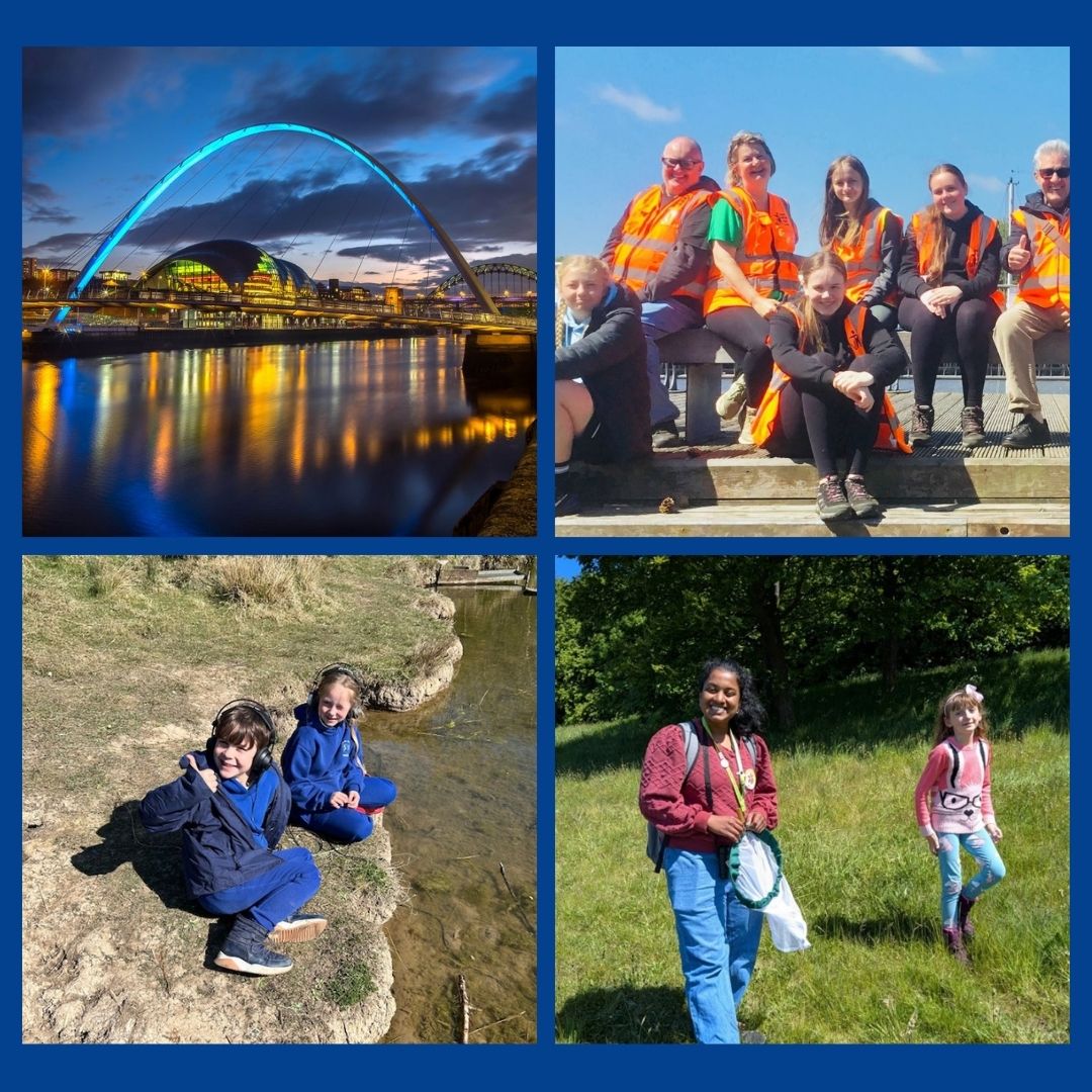 Our Summer newsletter has just been published. You can find out about river music in schools, the Spring fisheries report and effects of a dry Spring, another floodplain restoration success, the success of our Total River Therapy project, and more. 
preview.mailerlite.io/emails/webview…
