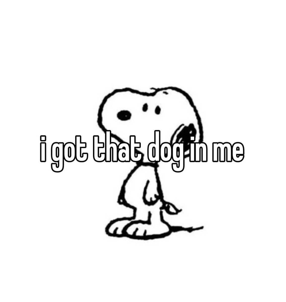 Daily Snoopy (@dailysnoopys) on Twitter photo 