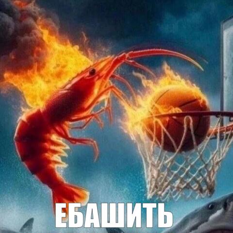 𝖚𝖒𝖕𝖊𝖉 tweet media