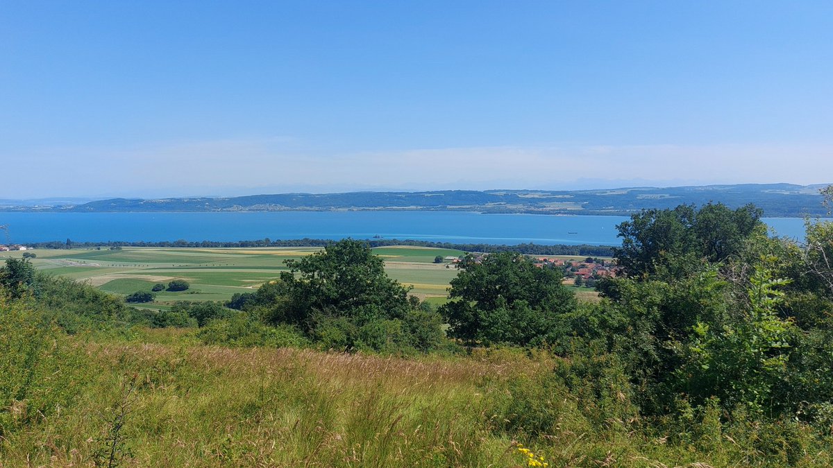 Double H tweet media