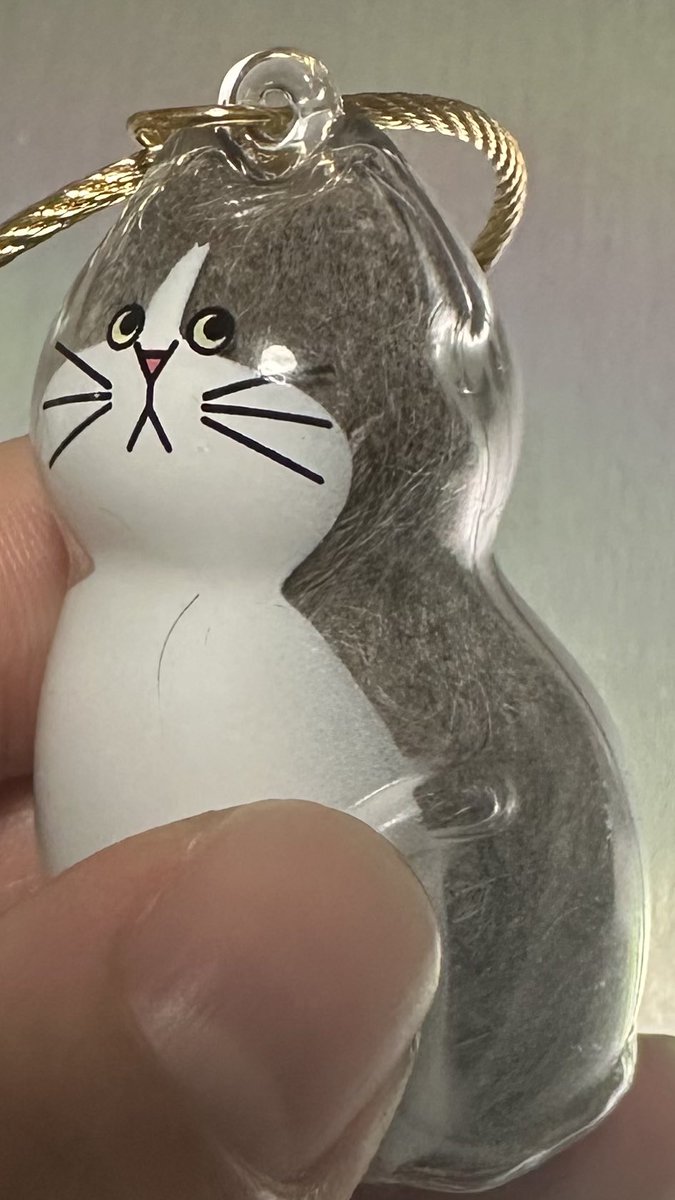 vivien3039's tweet photo. いいもの発見してむしった猫の毛詰め込んでみたわ(´-ω-`) https://t.co/KfPdYKfDNv
