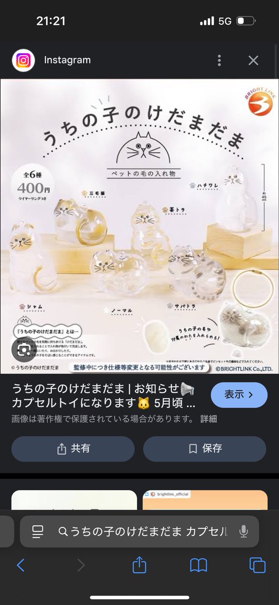 vivien3039's tweet photo. いいもの発見してむしった猫の毛詰め込んでみたわ(´-ω-`) https://t.co/KfPdYKfDNv