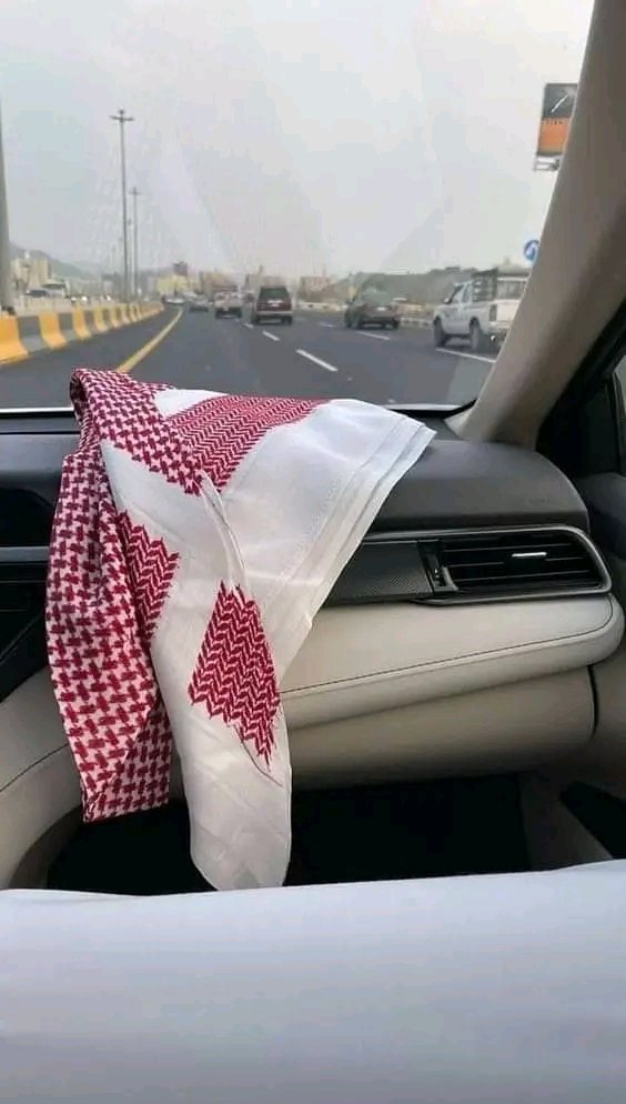 أسوي ألمعروف من طيب ذاتي
 حتى ألردي لا حام حولي أكرمته .