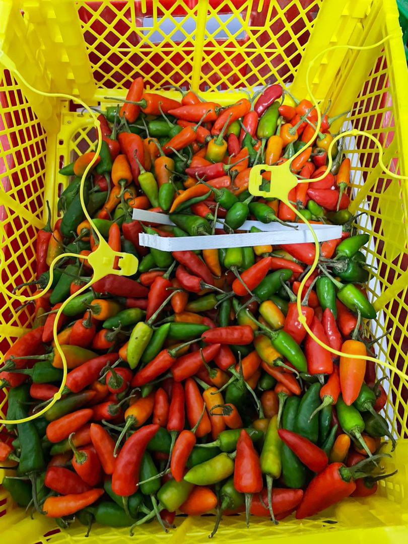 🇬🇧-funded Horticulture Export Accelerator Programme is proud to support female entrepreneur Yacinta Mayata, founder of Freshfield Manyata, in exporting fresh produce to the 🇬🇧.

HEAP is committed to empowering women in agribusiness &amp; driving inclusive trade. 

#GoFarGoTogether
