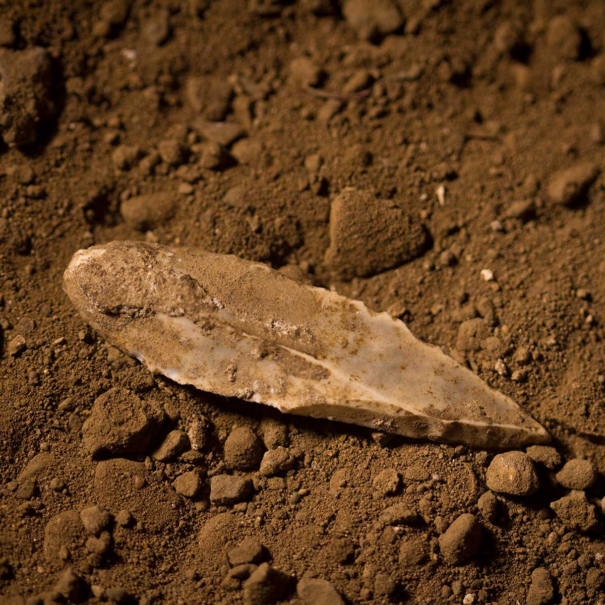 ✨ Hoy queremos recordar, ¡y reivindicar! la importancia de las #cuevas como espacios naturales llenos de valor.
En #CuevaDeNerja no solo encuentras belleza natural, también valores culturales, históricos, arqueológicos, geológicos y biológicos.
🌿🔦 Cada rincón subterráneo