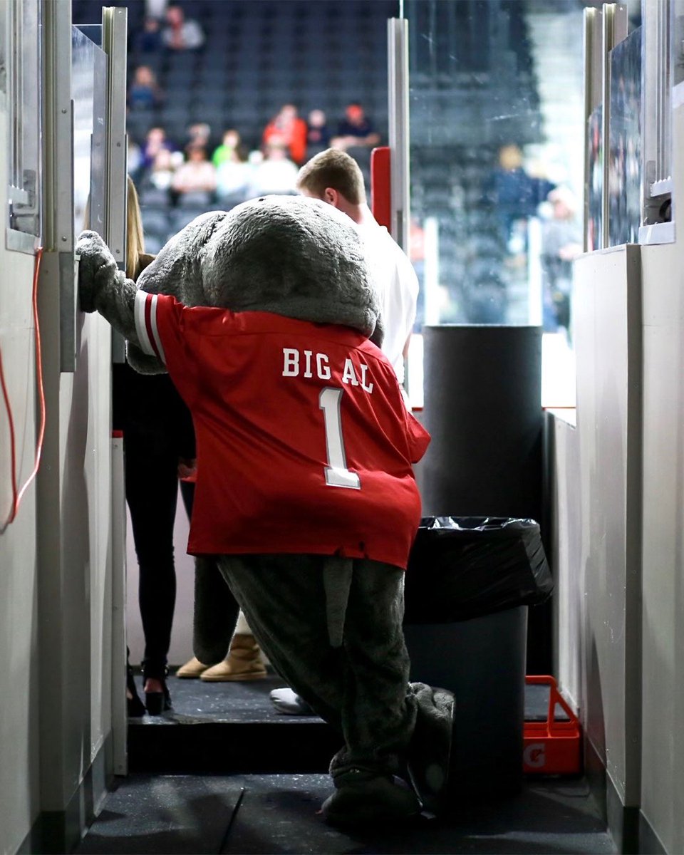 Happy National Mascot Day to the one and only <a href="/UA_Big_Al/">Big AL 🐘</a> 🐘