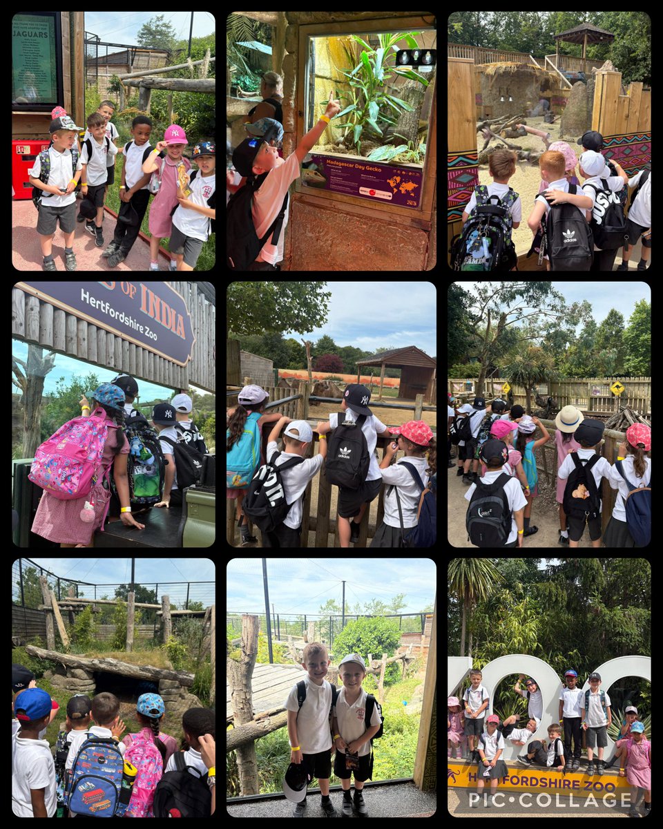 Year 1 had a WILD time at Hertfordshire Zoo today! They saw amazing animals, learned loads about wildlife, and made some unforgettable memories 🐯🦓🦒
Thank you @HertfordshireZoo for an incredible day!