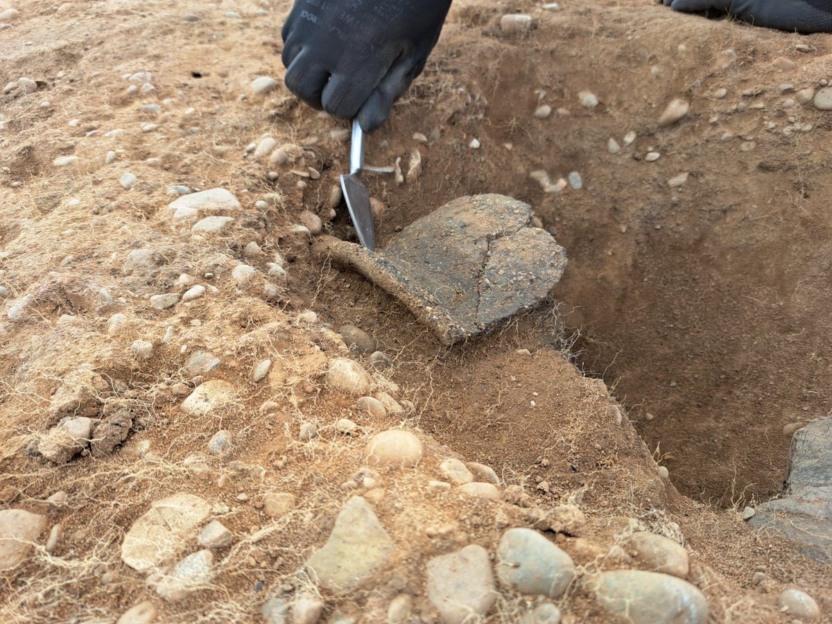 HenebTWA's tweet photo. #FindoftheWeek 

This striking piece of Mid Neolithic Ebbsfleet pottery (Peterborough ware) c. 3500 b.c has just been discovered by our team at Borras Quarry 🤩 Not just another day at the office! 

Read about our Borras excavations here: https://t.co/aVPE8AVuIs 

#Archaeology https://t.co/2ZaFj4diBa