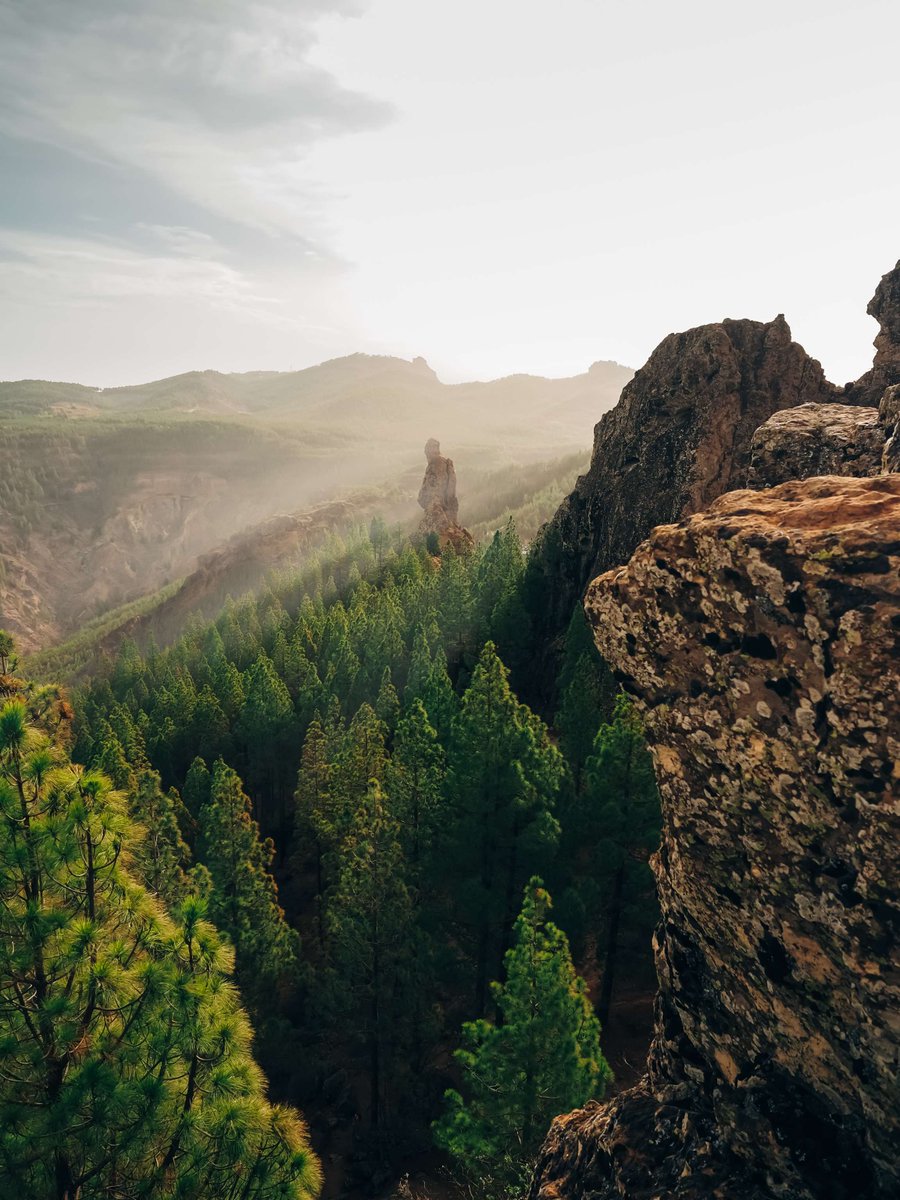 Roberts Camera tweet media