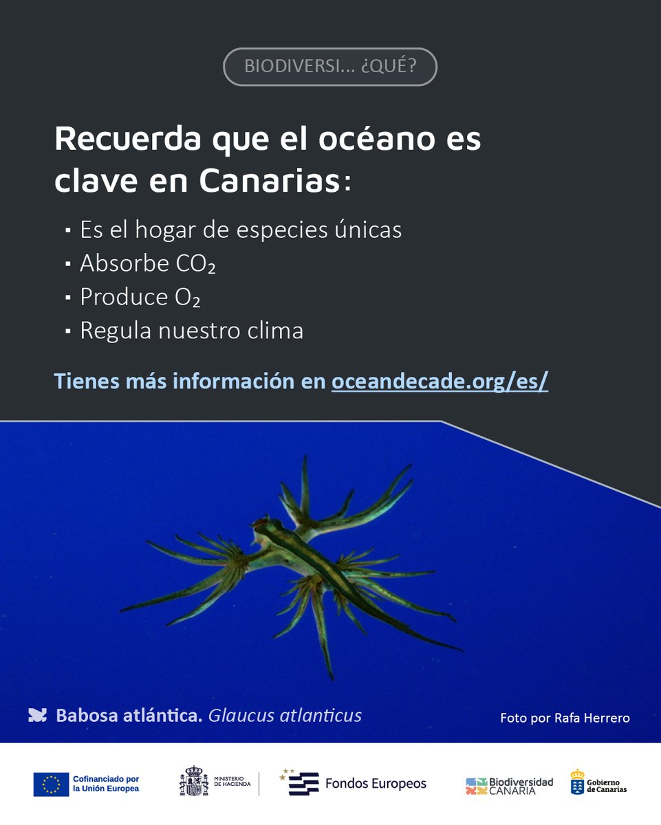 ¿Conoces el Decenio del Océano (<a href="/UNOceanDecade/">UN Ocean Decade</a>)?
Aprovechamos que estos días se ha celebrado la Tercera Conferencia de la <a href="/ONU_es/">Naciones Unidas</a> sobre los Océanos para hablarte de él: está impulsado por Naciones Unidas y busca fortalecer la investigación y la gestión sostenible de los mares🧵⬇️