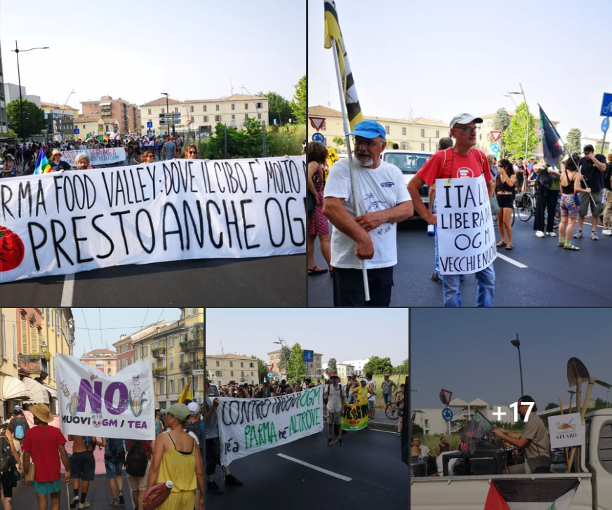 GMWatch (@gmwatch) on Twitter photo Hundreds of people, including <a href="/CICrocevia/">Centro Internazionale Crocevia</a>, took to the streets in Parma🇮🇹 over the weekend to protest the proposed deregulation of new #GMOs (NGTs). They oppose all attempts to remove traceability, labelling, and risk assessment for genetically modified and patented lab organisms Hundreds of people, including <a href="/CICrocevia/">Centro Internazionale Crocevia</a>, took to the streets in Parma🇮🇹 over the weekend to protest the proposed deregulation of new #GMOs (NGTs). They oppose all attempts to remove traceability, labelling, and risk assessment for genetically modified and patented lab organisms