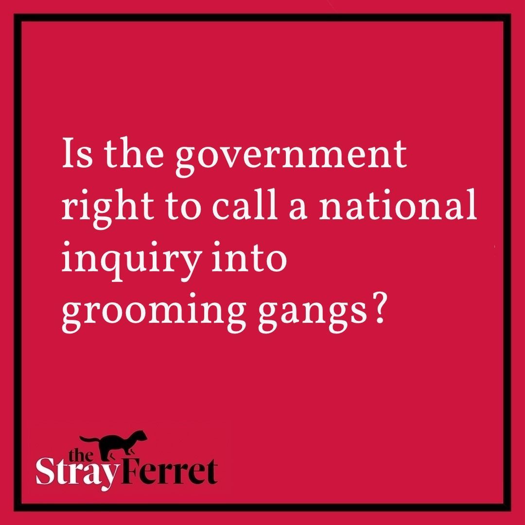 The Stray Ferret tweet media