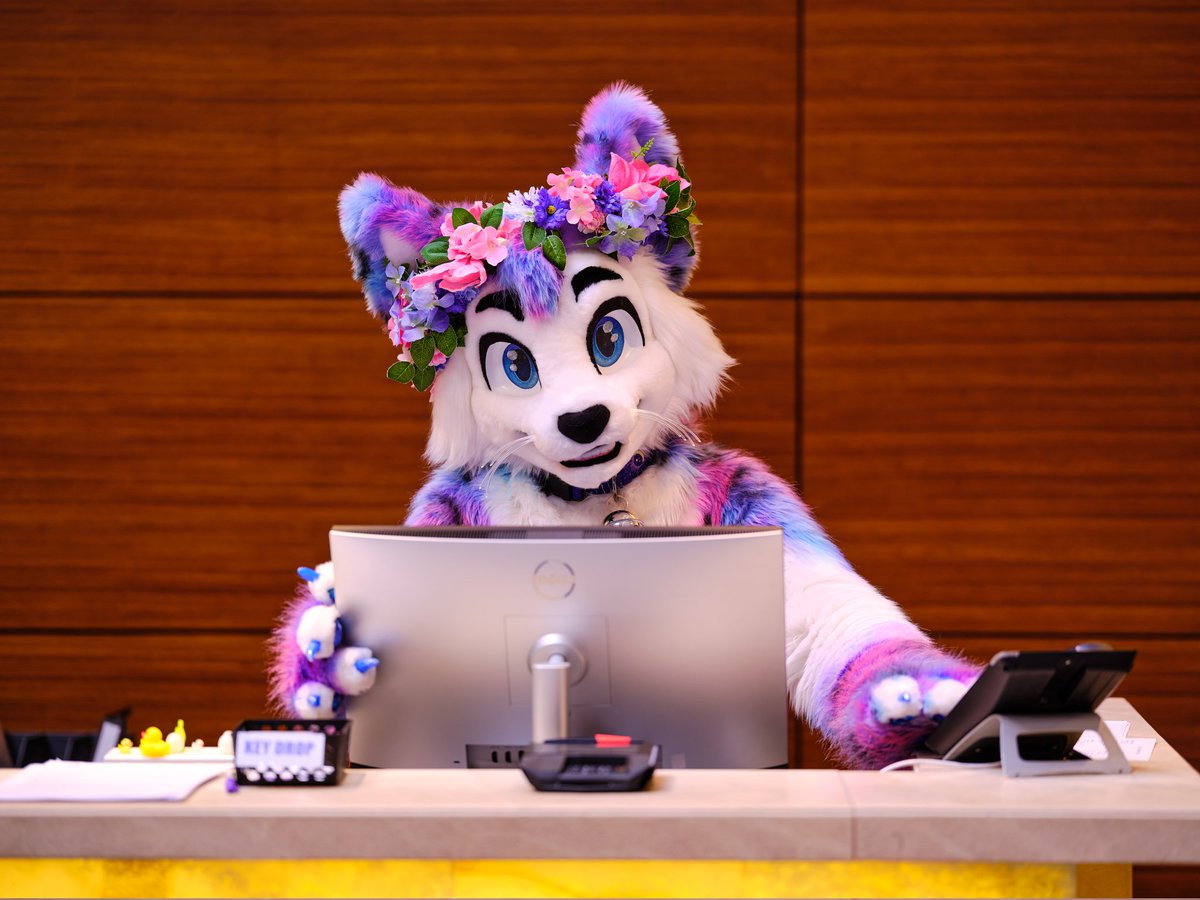 ✨🛎️Would you let this cat check you in? (He just cancelled your whole reservation... Oops! ) 🛎️✨ 
 
📸 - <a href="/amphalicious/">Tullem</a> / <a href="/vlaaacek/">VlaceK</a> / @datfloofoboi
