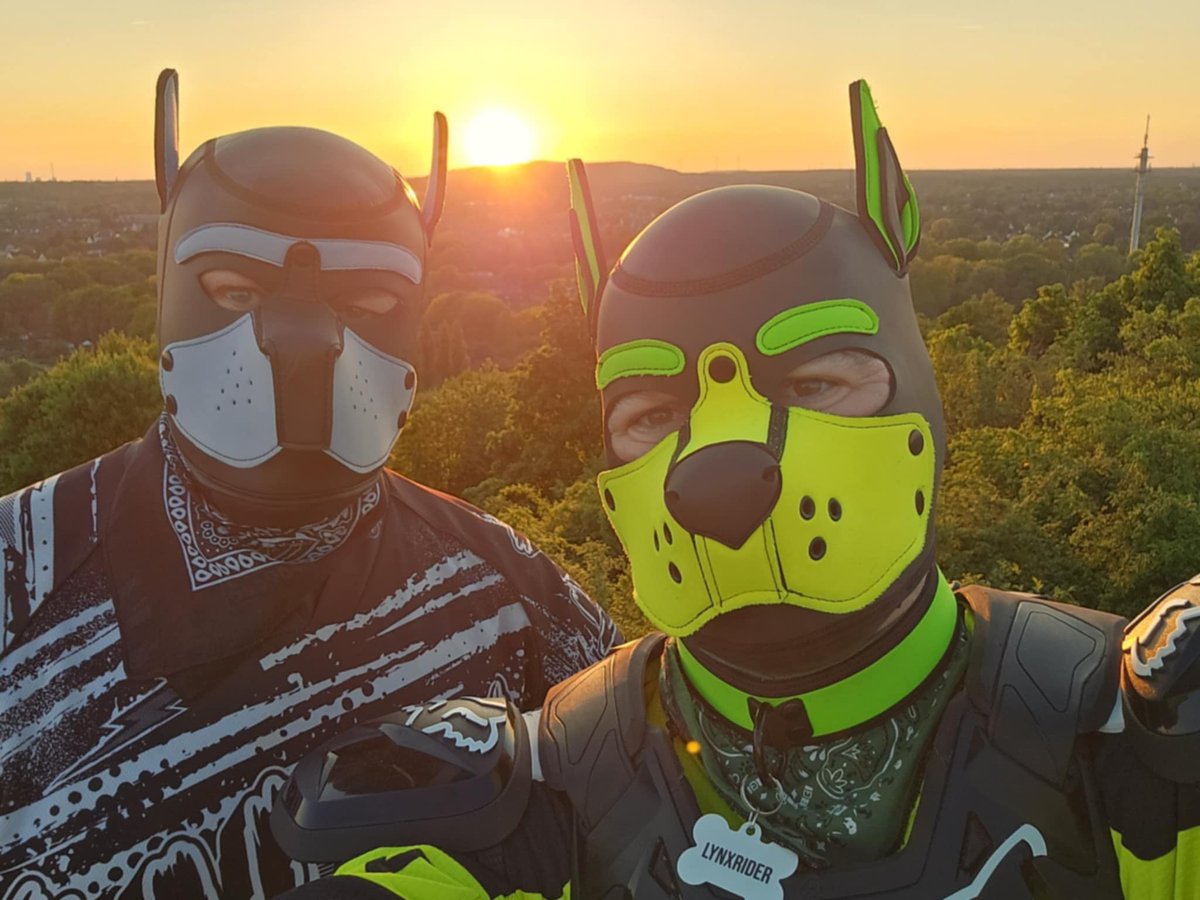 Happy Birthday! 🍀