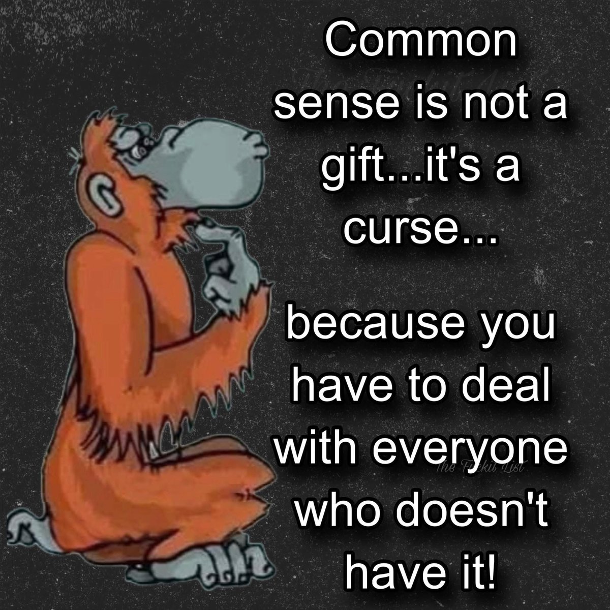 Doc (@universal_probe) on Twitter photo 