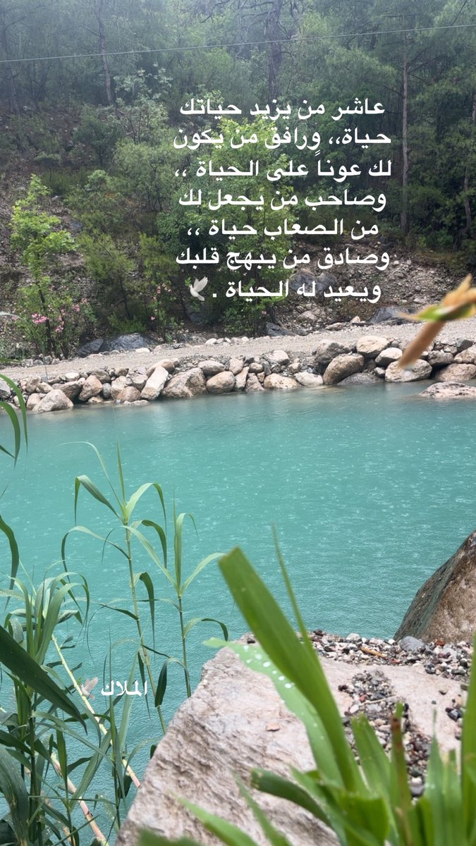 Mk_MalakM's tweet photo. https://t.co/g9VAtmZsYI